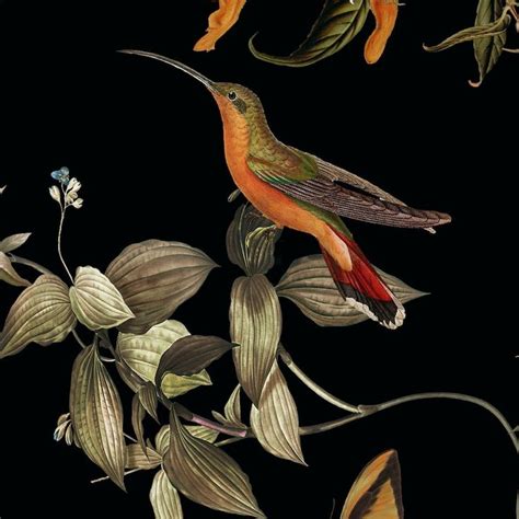 Dark Botanic Wallpaper With Hummingbirds Butterflies And Tropical