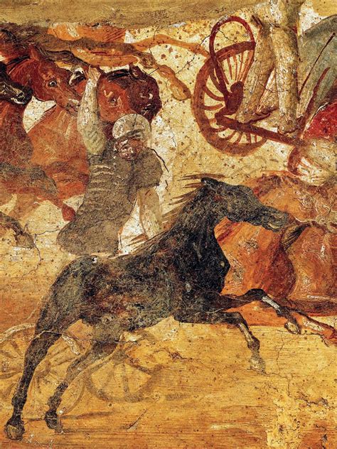 Chariot Races Facts Vvtibids