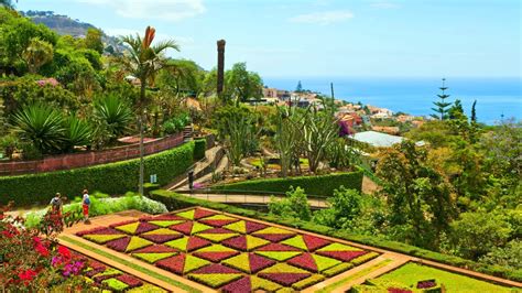 Funchal Tour Privato In Tuk Tuk Del Giardino Botanico Di Madeira