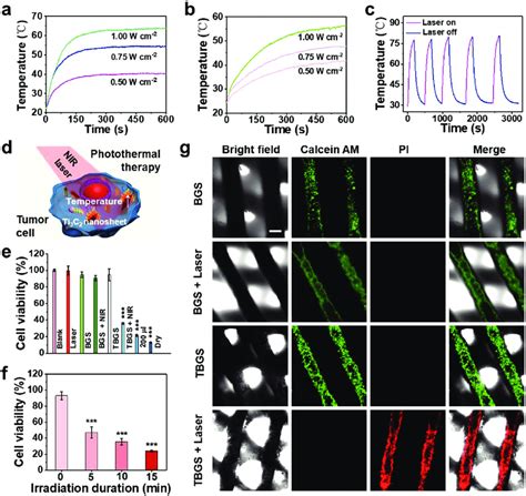 In Vitro Photothermal Performance Cytotoxicity Assay And Cell