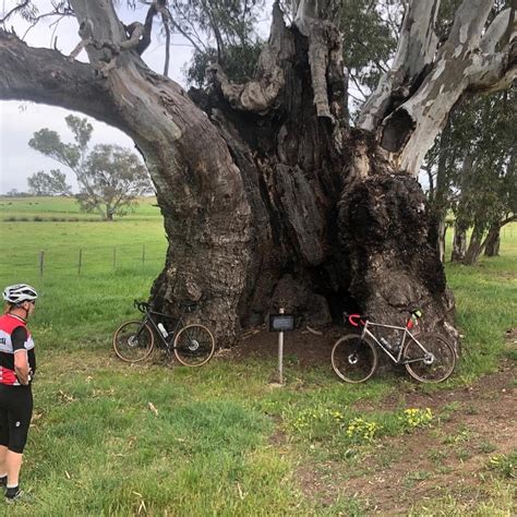 Cycling Maryborough And Surrounds