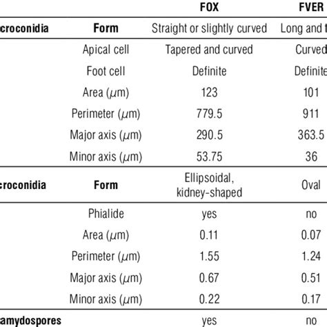 Morphological Characterization Of Fox And Fver The Values Are Download Scientific Diagram