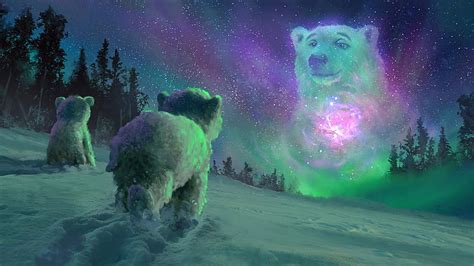 Bears Polar Bear Artistic Aurora Borealis HD Wallpaper Peakpx