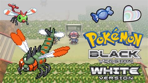 How To Get Yanmega In Pokemon Black White YouTube