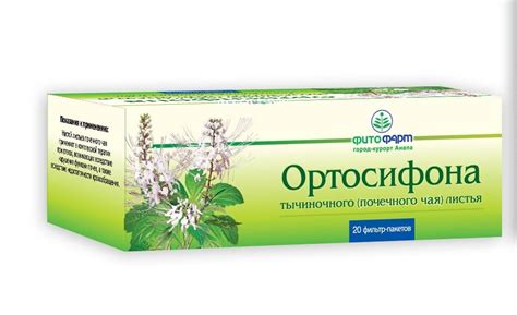 Почечный чай (ортосифон) 1,5г пакетик №20 Импловит | Импловит ...