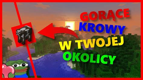 Gor Ce Krowy W Twojej Okolicy Minecraft Youtube