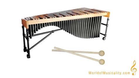 Xylophone Instrument Facts - World of Musicality