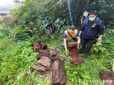 落難山老鼠爆出盜採家族！警抄扣大批珍貴林木 12人被捕3收押 Ettoday社會新聞 Ettoday新聞雲