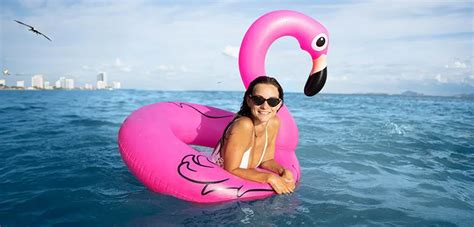 Nature And Adventure At Crandon Park Beach A Perfect Day In Key Biscayne