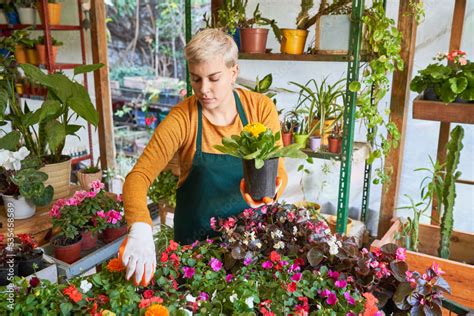 Junge Frau Als Floristin Bei Der Pflege Der Vielen Pflanzen Stock Photo