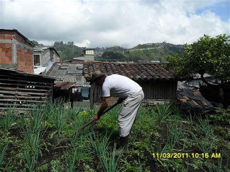 Escuela De Agricultura EcolÓgica Con Énfasis En Asociatividad Agricultura Ecologica