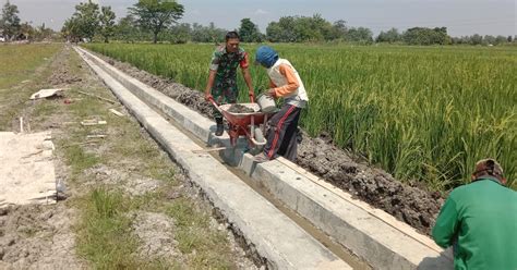 Wujudkan Kemanunggalan Tni Dan Rakyat Babinsa Wonosari Bantu Pembuatan