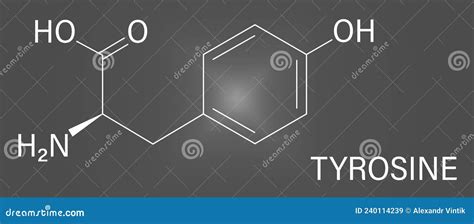 Tyrosine Or L Tyrosine Tyr Y Amino Acid Molecule Skeletal Formula