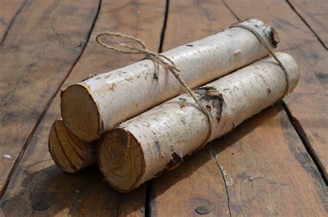 White Birch Logs 3 White Birch Logs Rustic Craft Supply Etsy