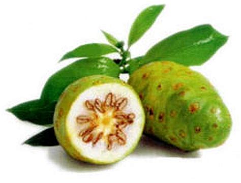 Health Benefits of Noni