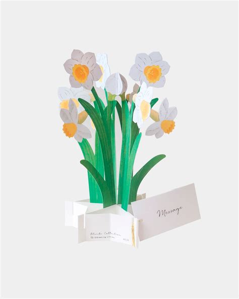 Narcissus Kortti Papershop