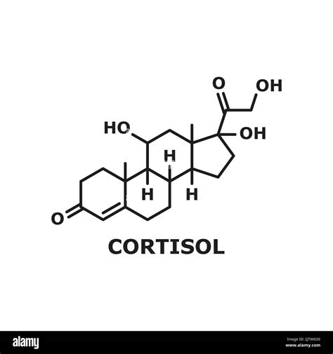 Molécula Química De La Hormona De Las Glándulas Suprarrenales Cortisol