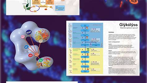 CATABOLISM :: Behance