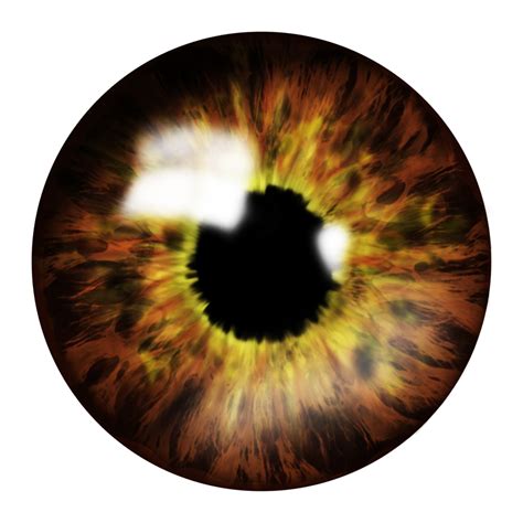 Eyes Png Image Purepng Free Transparent Cc0 Png Image Library