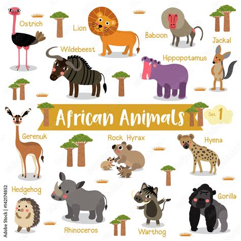 African Animals Cartoon On White Background With Animal Name Vector