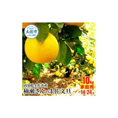 ふるさと納税 高知県 土佐市 高知県土佐市産 楠瀬さんの土佐文旦 家庭用 約10kg 期間限定 高知 土佐 文旦 ぶんたん ブンタン 柑橘