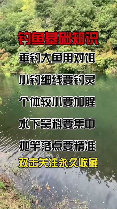 钓鱼人的快乐 新手钓鱼技巧 钓鱼不空军 Dou小助手 Youtube