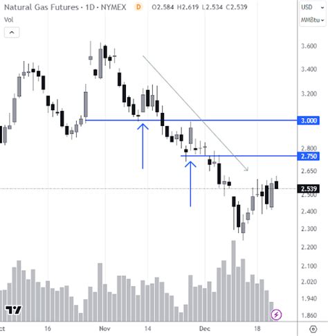 Dead Cat Bounce What Is It How To Identify And Trade It