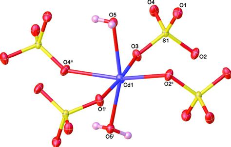 The Coordination Sphere Around The Cd Cation With Displacement