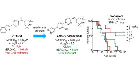 Discovery Of Small Molecule Splicing Modulators Of Survival Motor