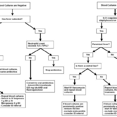 A Algorithm For The Initial Management Of Febrile Neutropenia