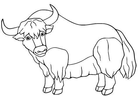 44 Yak Coloring Pages