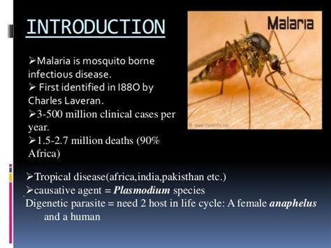 Ppt On Malaria By Daisy Saini