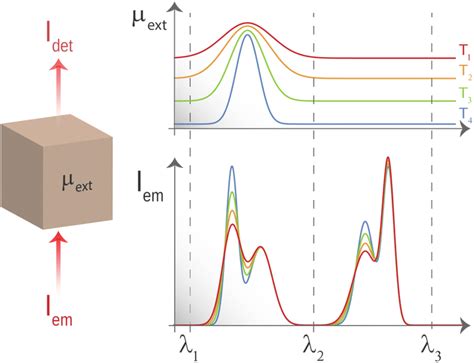 Lanthanide Doped Nanoparticles For Reliable And Precise Luminescence