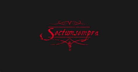 'Harry Potter' Curses: Sectumsempra - Harry Potter - T-Shirt | TeePublic