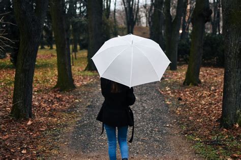 Melodic Rain Canh En Nguyen Si Kha Rainy Day Memories 2023