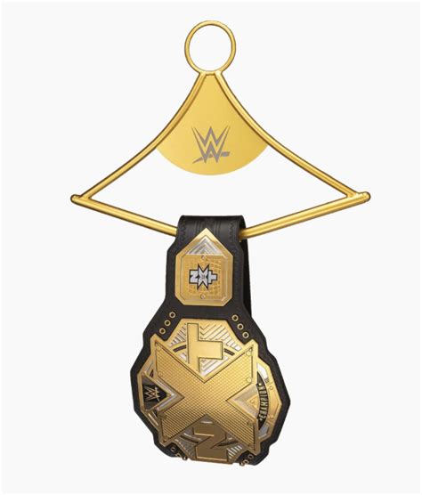 WWE Championship Belt Title Hanger Display Ceiling Wall Hanger - Multi ...