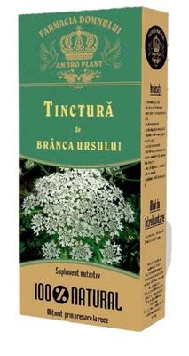 Tinctură de brânca ursului 200 ml Ambro plant