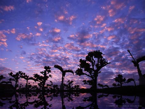 無料壁紙（自然・風景写真等） 高画質写真 フリー素材屋hoshino