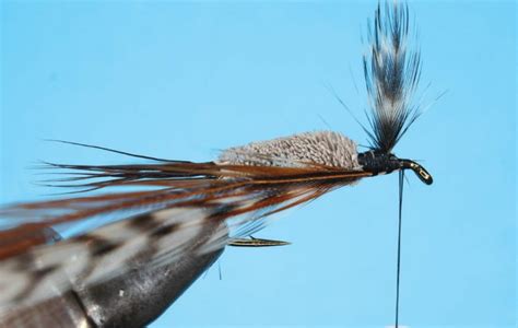 Perfecting Deer Hair Dry Flies Fly Tyer