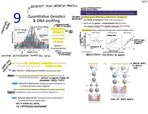 Ch 9 Quantitative Genetics And Dna Profiling 10719and 7and Quantave