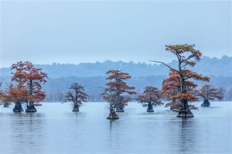 5 Best Lakes in Tennessee for Boating | Boatsetter