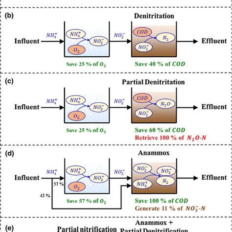 Schematic Diagram Of The Conventional Nitrification Denitrification Download Scientific Diagram