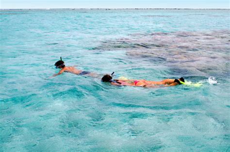 10+ Snorkeling Cook Islands Aitutaki Couple Stock Photos, Pictures & Royalty-Free Images - iStock