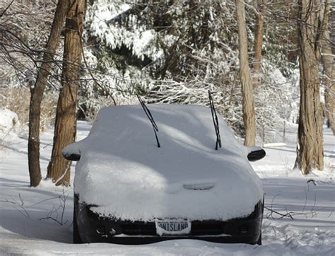 Column: Enjoying a rare winter without snow - Shelter Island Reporter