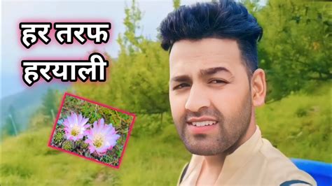 हर तरफ हरयल Village Lifestyle Vlog Pahadi Vlogger YouTube