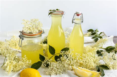 Simple Elderflower Cordial Recipe Nordic Forest Foods