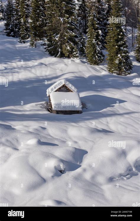 Mountain hut covered in snow near forest Stock Photo - Alamy