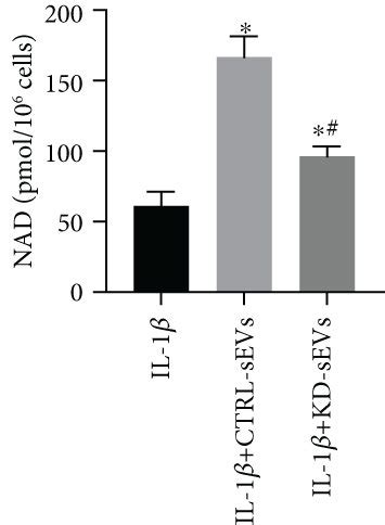 SEVs Secreted From NAMPT Knockdown Adipocytes Exhibited Attenuated