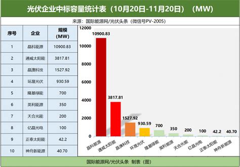 19 39GW组件项目定标晶科通威晶澳环晟隆基等25家组件企业中标均价1 96元 W 国际能源网能源资讯中心