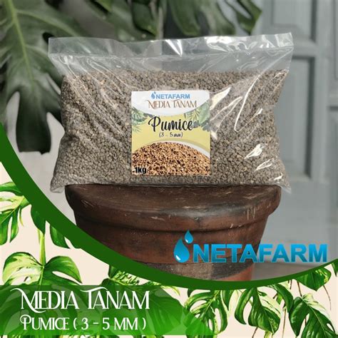 Jual Media Tanam Filter Pumice Batu Apung Kerikil Size Mm